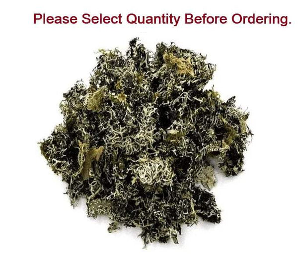 Chad Chabila dried leaves, curly dark and olive, mound