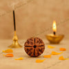 four mukhi rudraksha bead