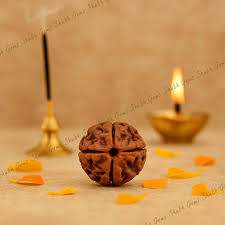 Textured brown rudraksha bead with carved ridges