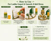 Mogra itra for pooja roll-on usage guide with step icons and bottle