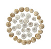 Beige spiral cowrie shells with swirl details arranged in a circle