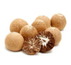Betel nuts pile with two split pieces showing white starburst lines, tan-brown.