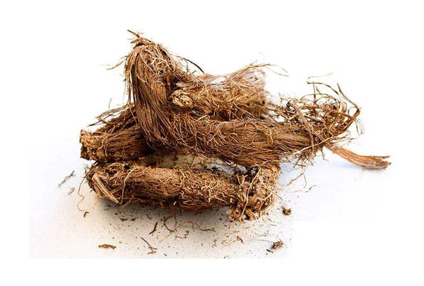 Jata masi dried herb, loose brown fibrous strands and stems