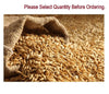 Jau grains spilling from burlap sack, tan kernels