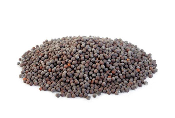 Pile of black mustard seeds