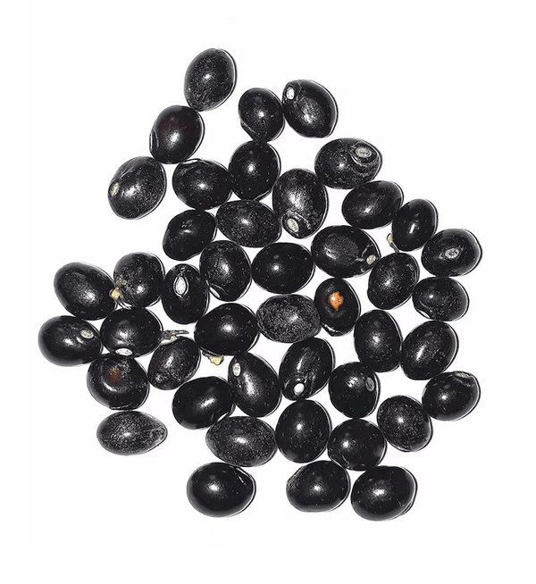 Kuber Dhan Varsha Potli