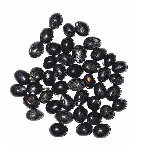 Kuber Dhan Varsha potli filling, small black beads with metallic sheen