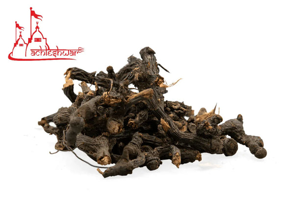 Nagar Motha Roots - Achleshwar