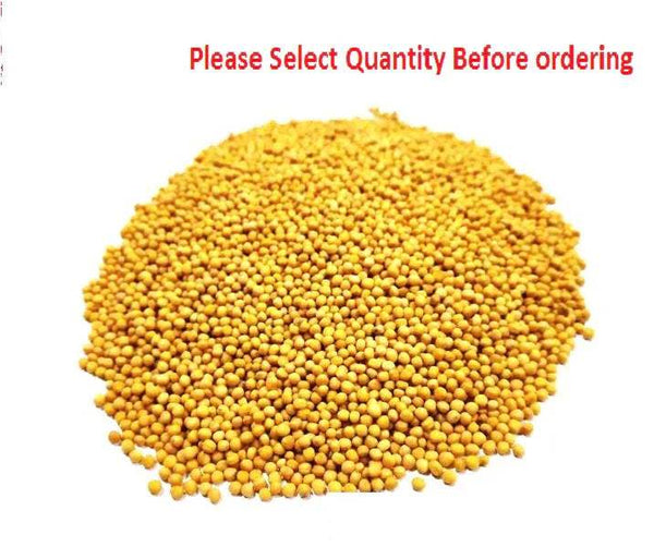 Pile of mustard seeds with small round yellow grains