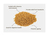 Mustard seeds heap in the center, shown with simple callout arrows