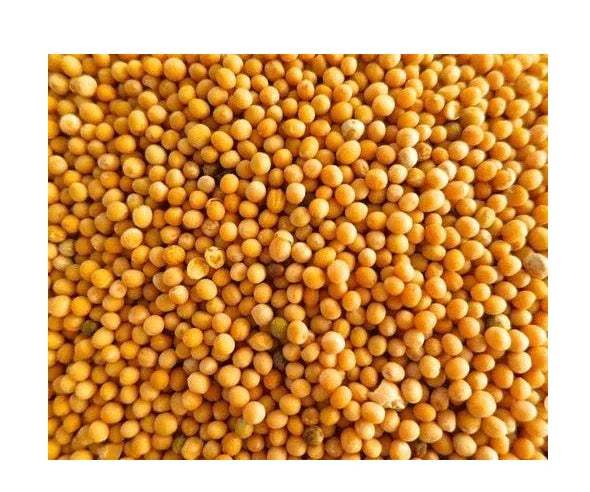 Close-up of mustard seeds with many small round yellow grains