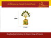 Mini tulsi plant in gold pot with green leaves, shown with height markers