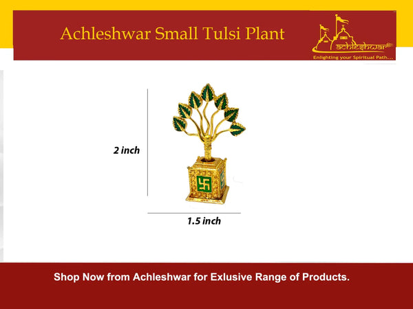 Small Tulsi Plant for Home, Office & Temple – Decorative Gold Finish Miniature Tulsi Pot (2 Inch) - Achleshwar