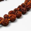 small-size_rudraksha_mala_for_jaap