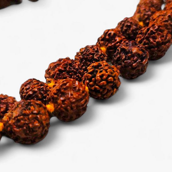 small-size_rudraksha_mala_for_jaap