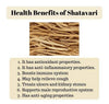 Satavari health benefits card with close-up of dried tan roots