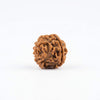 Brown four-faced rudraksha bead with carved ridges