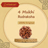 4 Mukhi Rudraksha – Natural & Certified Four Faced Rudraksha Bead