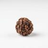 Brown textured rudraksha bead, rounded with carved ridges