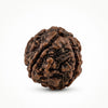 4 Mukhi Natural Rudraksha Original – Four Mukhi 100% Natural Bead