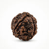 Brown rudraksha bead with deep grooves and clustered bumps