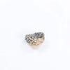 rare 1 mukhi rudraksha bead