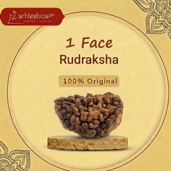 1-face rudraksha bead displayed on base inside a circular product card