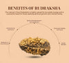 1-face rudraksha bead on benefits graphic with circular arrow labels