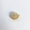 ardhanarishwar rudraksha