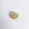 Natural rudraksha bead, light tan with deeply textured surface