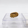 2 Mukhi Natural Rudraksha – Do Mukhi Original Rudraksha Bead