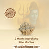Natural rudraksha bead with certified badge and text overlay