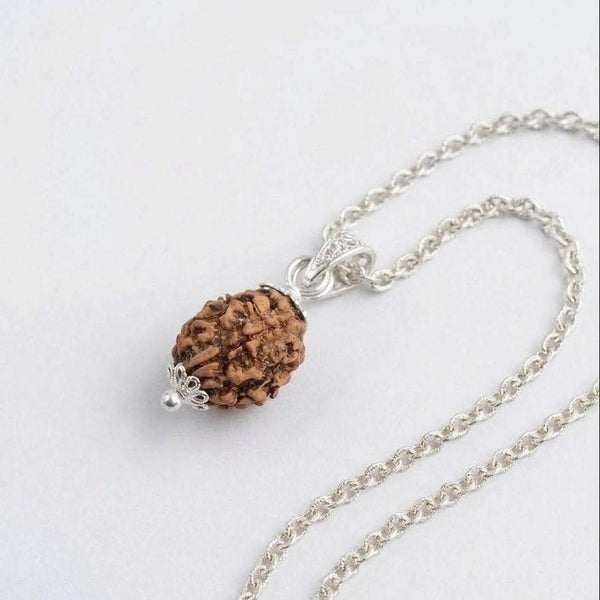 Brown 3-faced rudraksha bead necklace with silver chain and clasp