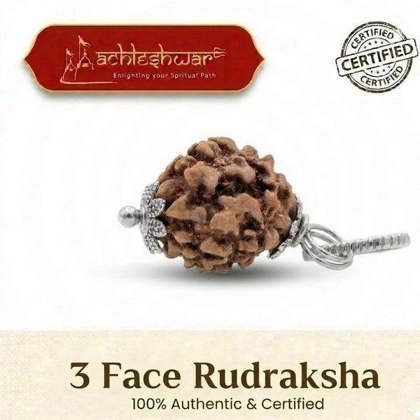 Brown 3-faced rudraksha bead with silver-toned wire bracelet clasp