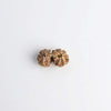 Pair of natural brown rudraksha beads with clustered seed texture