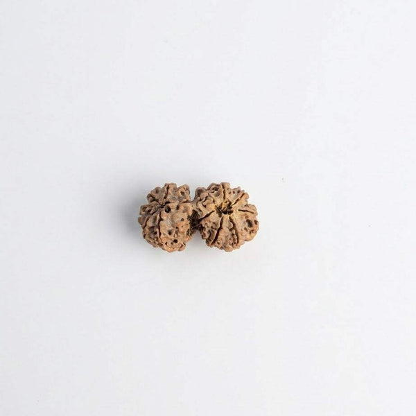 Pair of natural brown rudraksha beads with clustered seed texture
