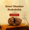 gauri shankar rudraksha original certified