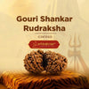Certified Gauri Shankar Rudraksha beads displayed as a pair