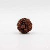 Six-face rudraksha bead, dark brown, rounded with clustered grooves