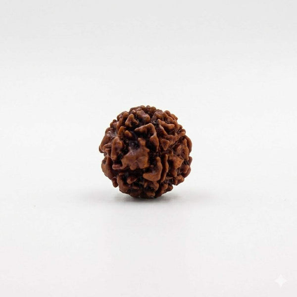 Six-face rudraksha bead, dark brown, rounded with clustered grooves