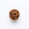 Six-face rudraksha bead with rugged dark brown texture