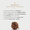 Ganesh Mukhi Rudraksha – Natural Origin Ganesh Rudraksha Bead