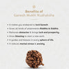 Ganesh Mukhi rudraksha bead shown at bottom of benefits card