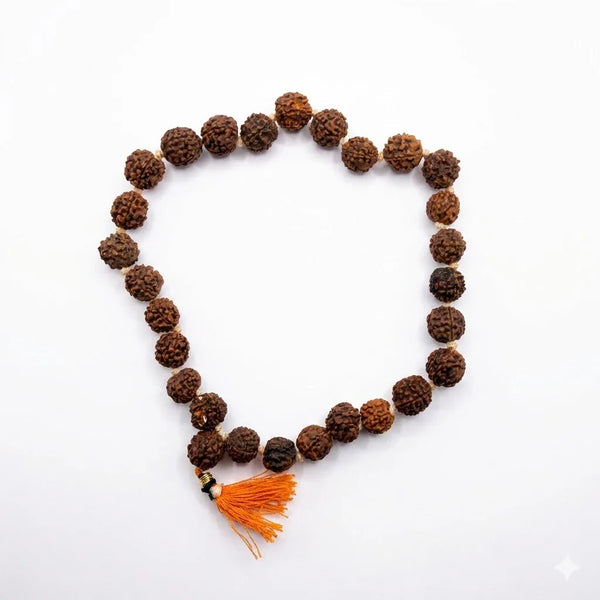 Rudrakash Mala 27+1 (Beads) for Wearing/Japa/Chanting/Puja Natural Brown 10 mm - Achleshwar