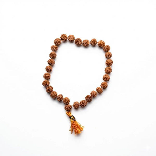 Rudraksh Mala 27+1 (Beads) for Wearing / Chanting Natural Brown 8 mm - Achleshwar