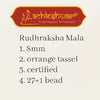 Rudraksh Mala 27+1 (Beads) for Wearing / Chanting Natural Brown 8 mm - Achleshwar