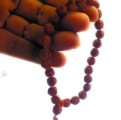 27+1 MALA/SUMANNI
