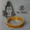 Achleshwar Gold Plated Premium Rudraksha Chain Bracelet for Men & Women | Stylish Spiritual Kada with Original Rudraksha Beads