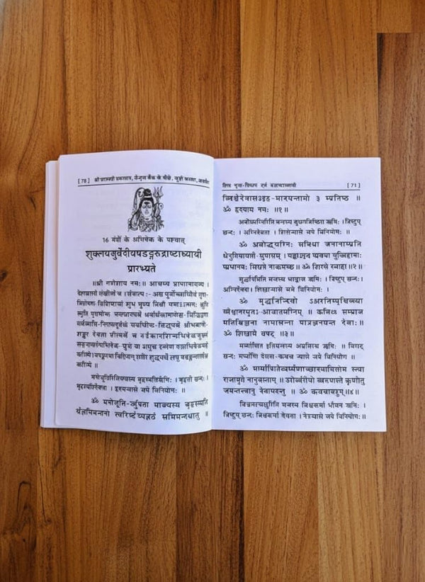 Shiv Mahima evam Rudrashtadhyayi | Sampoorna Pooja Vidhan Sahit | Shiva Worship and Rudri Path Hindi Book By Achleshwar