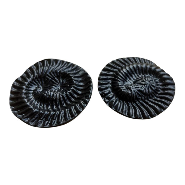 Achleshwar Original Vishnu Chakra Shaligram Stone